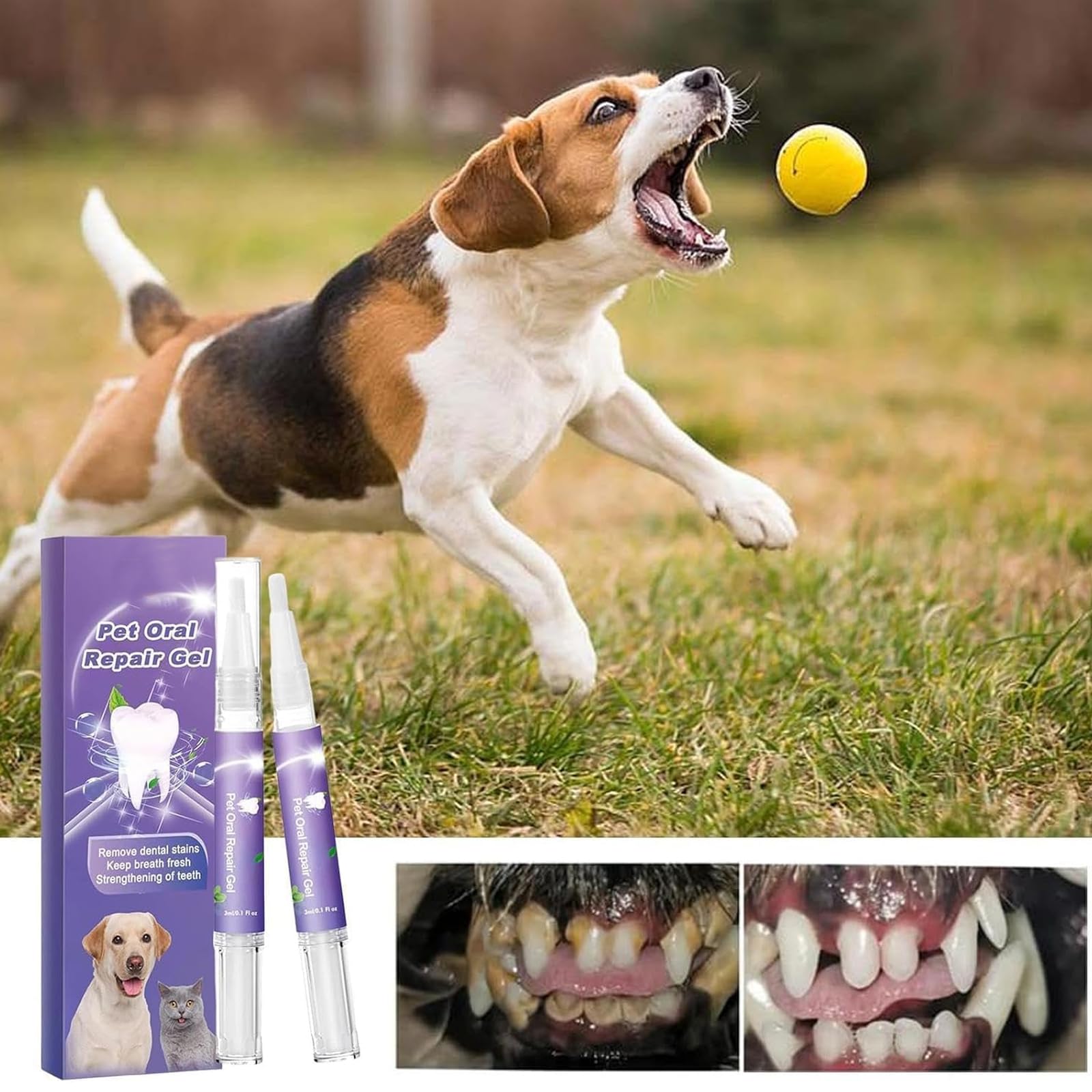 Pet Oral Repair Gel, Pet Oral Repair Gel for Dogs, Pet Oral Restoration Gel, Pet Teeth Whitening Pen, Targets Tartars, Without Brushing, Pet Breath Freshener Gel Care Cleaner (3 Pcs)