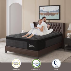 Duchessz King Mattress, 12 Inch Hybrid Mattress Black with Gel Memory Foam and Individually Pocket Innerspring Euro Top Mattress Medium Firm for Motion Isolation, Edge Support, 100 Night Trial