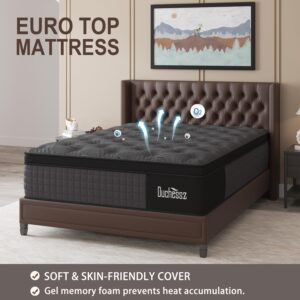 Duchessz Queen Mattress, 14 Inch Hybrid Mattress Black with Gel Memory Foam and Individually Pocket Innerspring Euro Top Mattress Medium Firm for Motion Isolation, Edge Support, 100 Night Trial