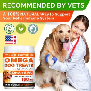 Omega 3 + Probiotics Dogs Bundle - Allergy & Itch + Improve Digestion & Immunity - Omega 3 & Pumpkin + Digestive Enzymes - Prebiotics - Itchy Skin + Itching & Licking Treats - 300 Chews - Made in USA