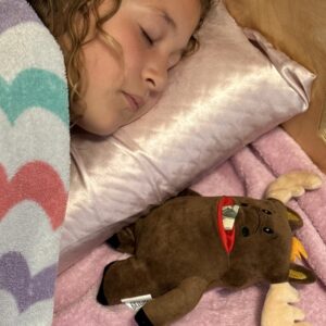 The Tooth Brigade Tooth Fairy Pillow | Fun and Interactive Stuffed Plush Toy with Large Pocket for Lost Teeth, Treasures, Prizes - Perfect for Kids, Boys, & Girls Gift (Twigs Moose)