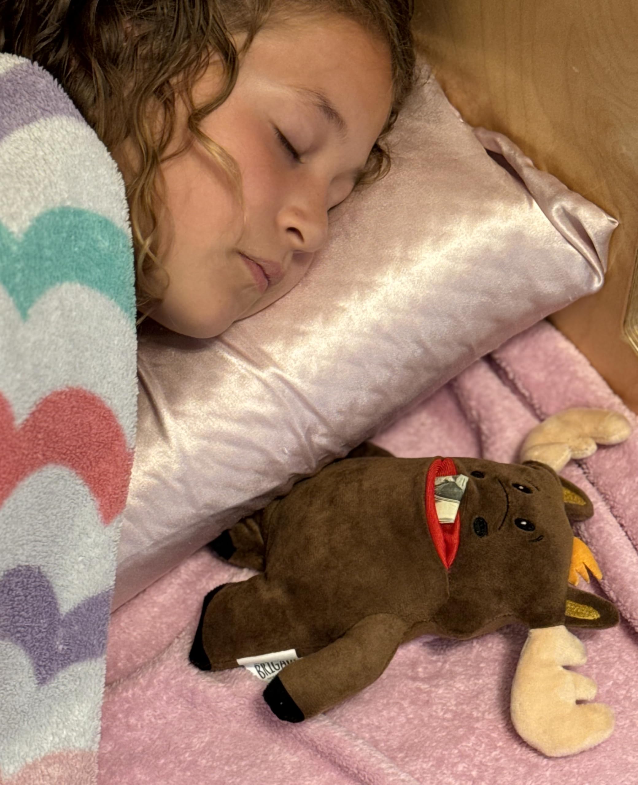 The Tooth Brigade Tooth Fairy Pillow | Fun and Interactive Stuffed Plush Toy with Large Pocket for Lost Teeth, Treasures, Prizes - Perfect for Kids, Boys, & Girls Gift (Twigs Moose)