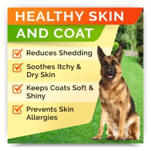 Omega 3 + Probiotics Dogs Bundle - Allergy & Itch + Improve Digestion & Immunity - Omega 3 & Pumpkin + Digestive Enzymes - Prebiotics - Itchy Skin + Itching & Licking Treats - 300 Chews - Made in USA