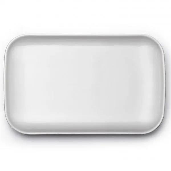 BUYDEEM CT1004 Ceramic Plate 11 inch, Suitable for G553 G563 Food Steamer, White