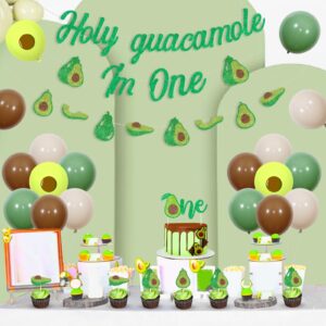 Sursurprise Avocado 1st Birthday Decorations, Holy Guacamole I’m One First Birthday Banners, Fiesta Avocado Fruit Cake Cupcake Toppers Balloons, Cinco De Mayo One Year Old Bday Party Decor Supplies