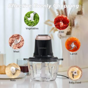 Cenpepglo Food Chopper, 8Cup Electric Food Processor, 400W Meat Grinder with 2L Glass Bowls and 2 Bi-Level Blades for Kitchen, Vegetable, Onion, Garlic, Salad, Baby Food, Fruit, Nuts (Black)