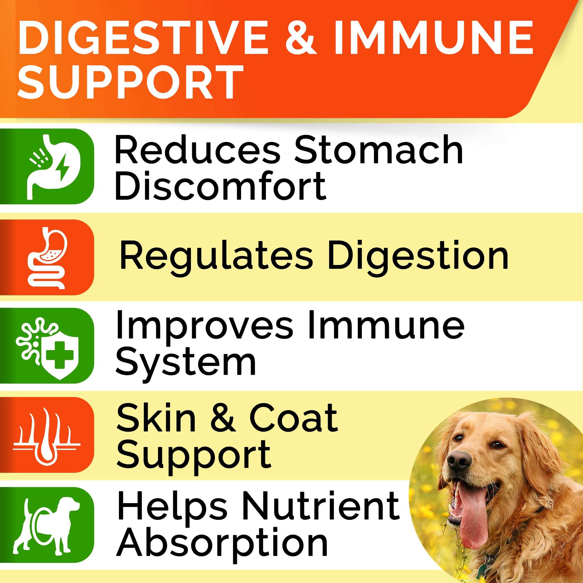 Allergy Relief + Probiotics Dogs Bundle - Itchy Skin Treatment + Digestive Enzymes - Omega 3 & Pumpkin + Prebiotics - Dogs Itching & Licking Treats + Improve Digestion - 240 Chews - Made in USA