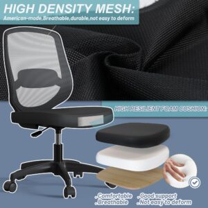 Armless Mesh Ergonomic Desk Office Chair Without Arms for Computer Home Height Adjustable Lumbar Support for Small Spaces