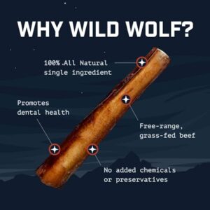 Wild Wolf 12-inch Angus Bully Sticks (8 Ounces) Healthy, All-Natural, Long-Lasting Dog Chew Bones - Natural Scent Dogs Love - Mixed Thickness