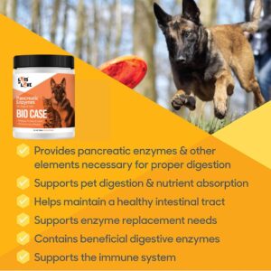 Bio Case - Pancreatic Enzymes for Dog & Cat - 12 Oz Powder (Formerly Thomas Labs BioCase)