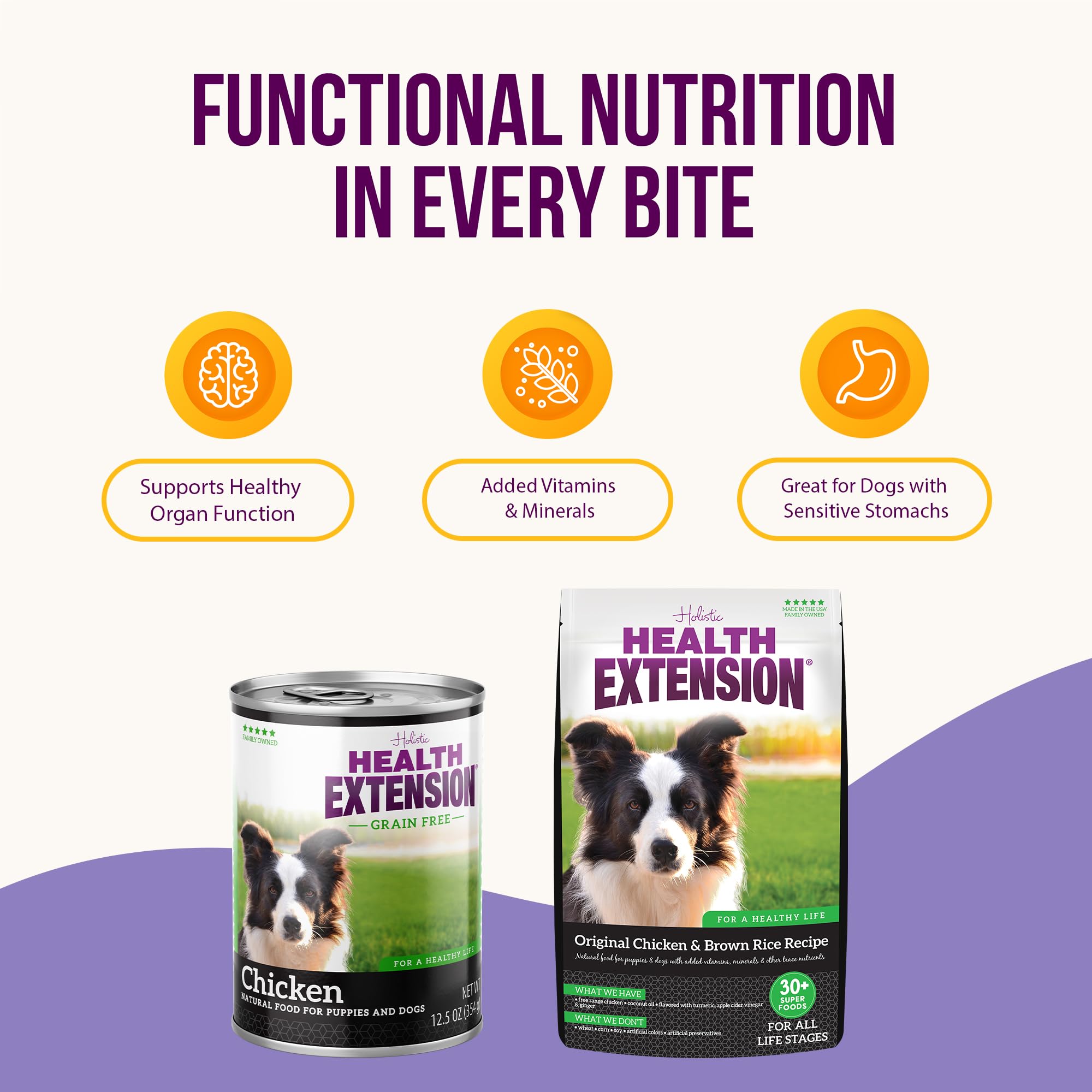 Health Extension Bundle - Wet Dog Food Chicken Recipe (12.5oz Single Can), Dry Dog Food Chicken & Brown Rice Recipe (4 lbs) - High-Protein, A Tasty and Healthy Alternative for Your Dog