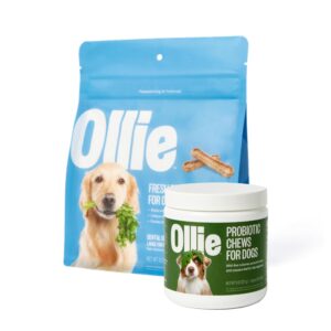 ollie belly rubs dog probiotic chews and ollie dental chews for dogs large- dog breath treats