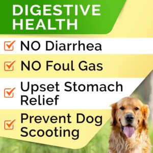 Probiotics Treats for Dog Bundle - Digestive Enzymes + Prebiotics - Chewable Fiber Supplement - Allergy, Diarrhea, Gas, Constipation, Upset Stomach Relief - Improve Digestion & Immunity - 300 Chews