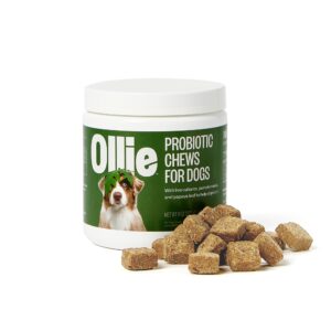 Ollie Belly Rubs Dog Probiotic Chews - Probiotics for Dogs and Ollie Dental Chews for Dogs Medium -Dog Breath Treats