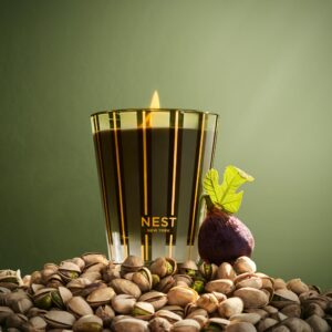 NEST New York Scented Classic Candle, Pistachio & Wild Fig - 8.1 oz - Up to 60-Hour Burn Time - Reusable Glass Vessel