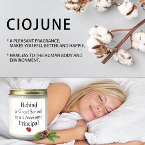 CIOJUNE Phincipal Gifts for Women, Best Principal Gifts, Principal Appreciation Gifts, Gifts for School Pnincipa, Phincipal Scented Candles