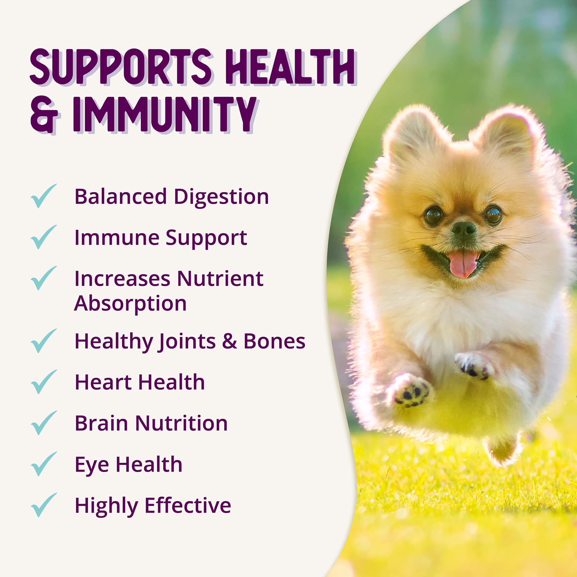 Health Extension Bundle - Dry Dog Food Chicken & Brown Rice Recipe (4 lbs) & Multivitamin (30 Tablets) - High-Protein, Balanced Nutrition for Dogs of All Life Stages