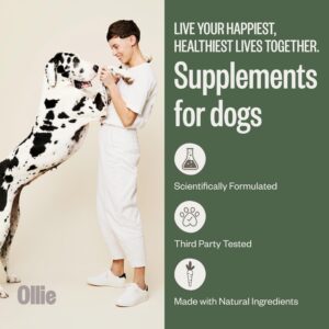 Ollie Belly Rubs Dog Probiotic Chews - Probiotics for Dogs and Ollie Dental Chews for Dogs Small - Dog Breath Treats