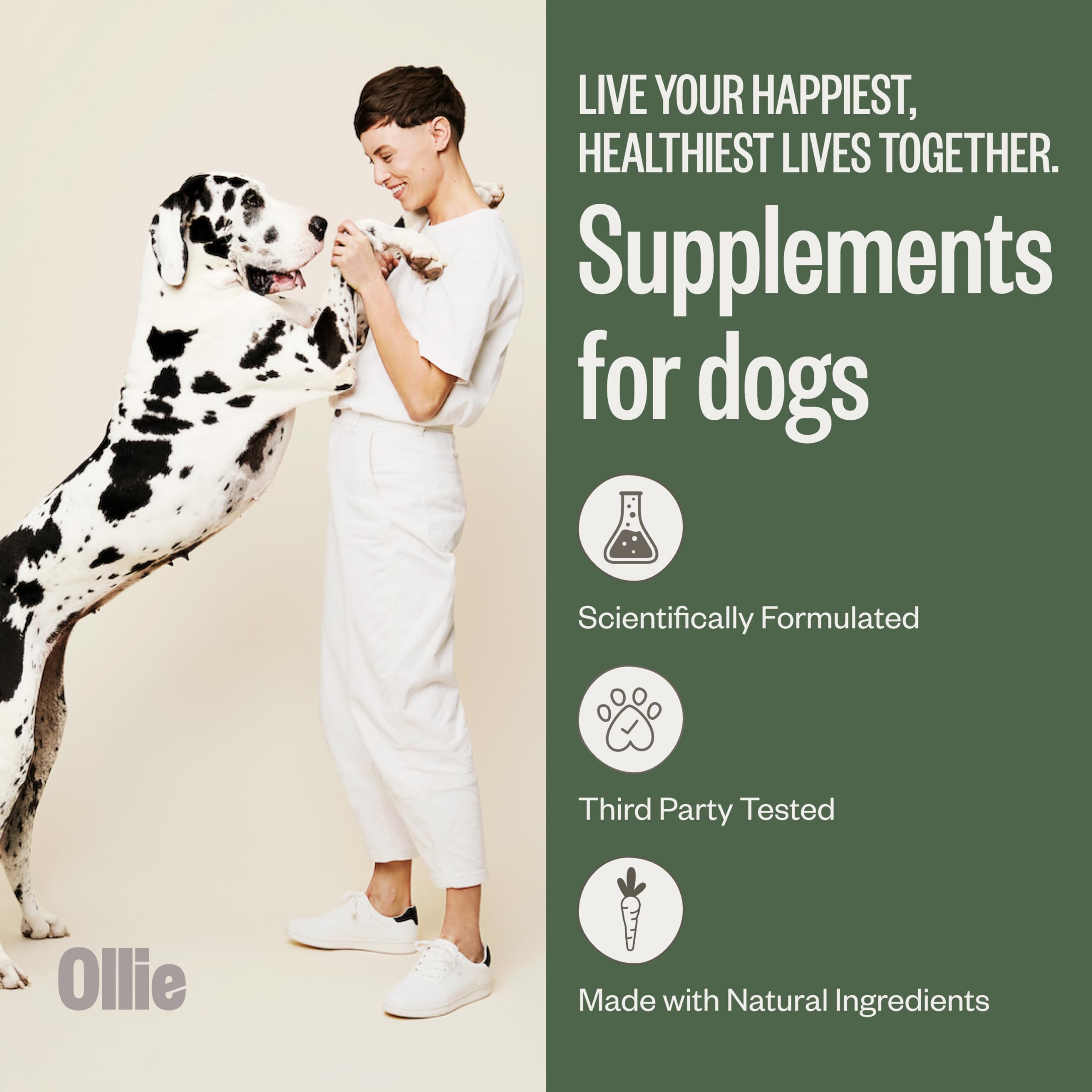 Ollie Belly Rubs Dog Probiotic Chews - Probiotics for Dogs and Ollie Zoomies Dog Hip and Joint Supplement - Glucosamine for Dogs