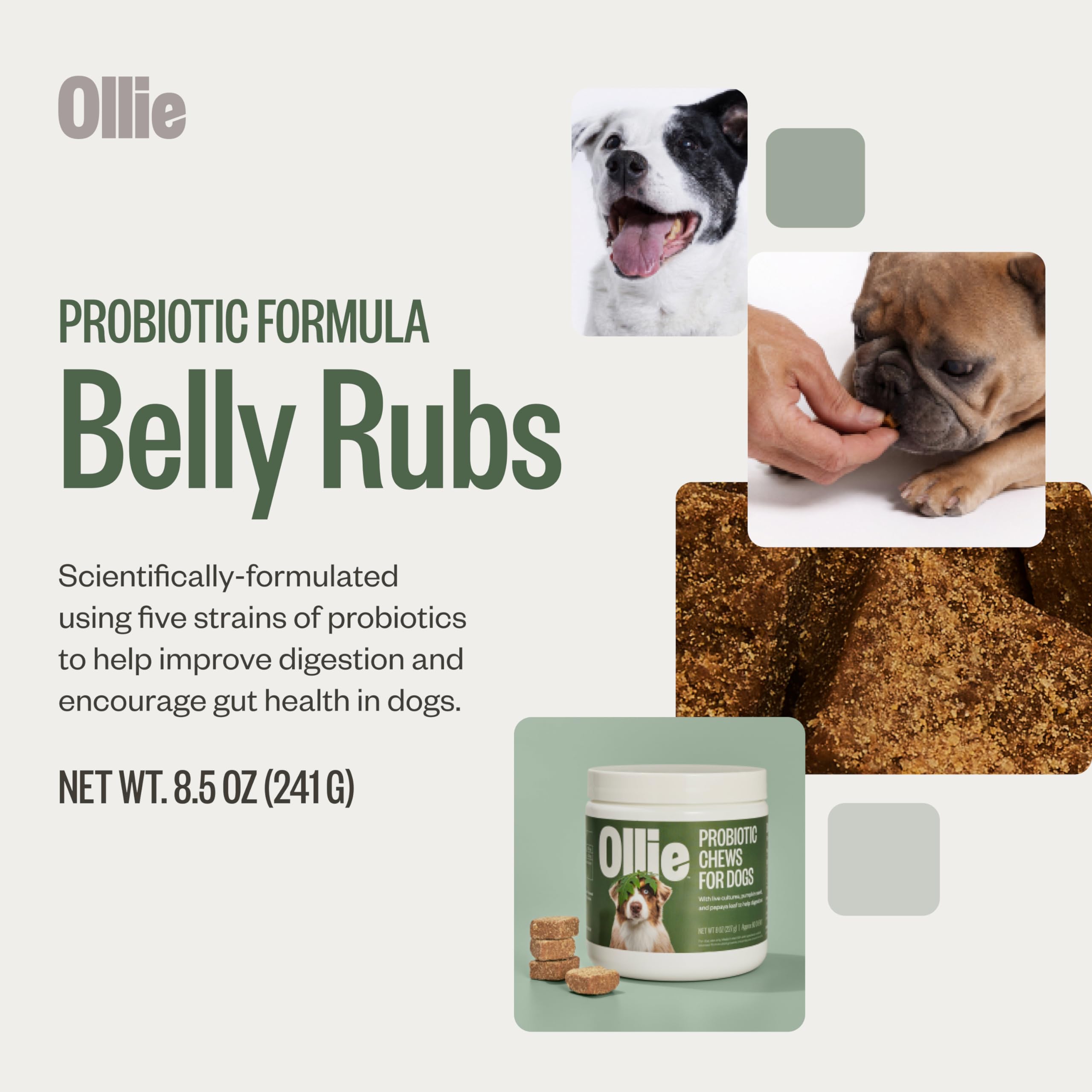 Ollie Belly Rubs Dog Probiotic Chews - Probiotics for Dogs and Ollie Dental Chews for Dogs Small - Dog Breath Treats