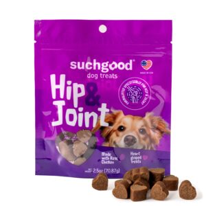 SuchGood Hip and Joint + Skin and Coat Dog Treats - Support Chews for All Breed Sizes and Ages, Glucosamine and Chondroitin + Salmon and Flaxseed Oil (Chicken Flavor, 2 Packs)