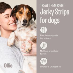 Ollie Belly Rubs Dog Probiotic Chews - Probiotics for Dogs and Ollie Jerky Treats Variety Pack - Chicken and Apple Recipe and Beef and Sweet Potato Recipe - Dog Jerky Treats