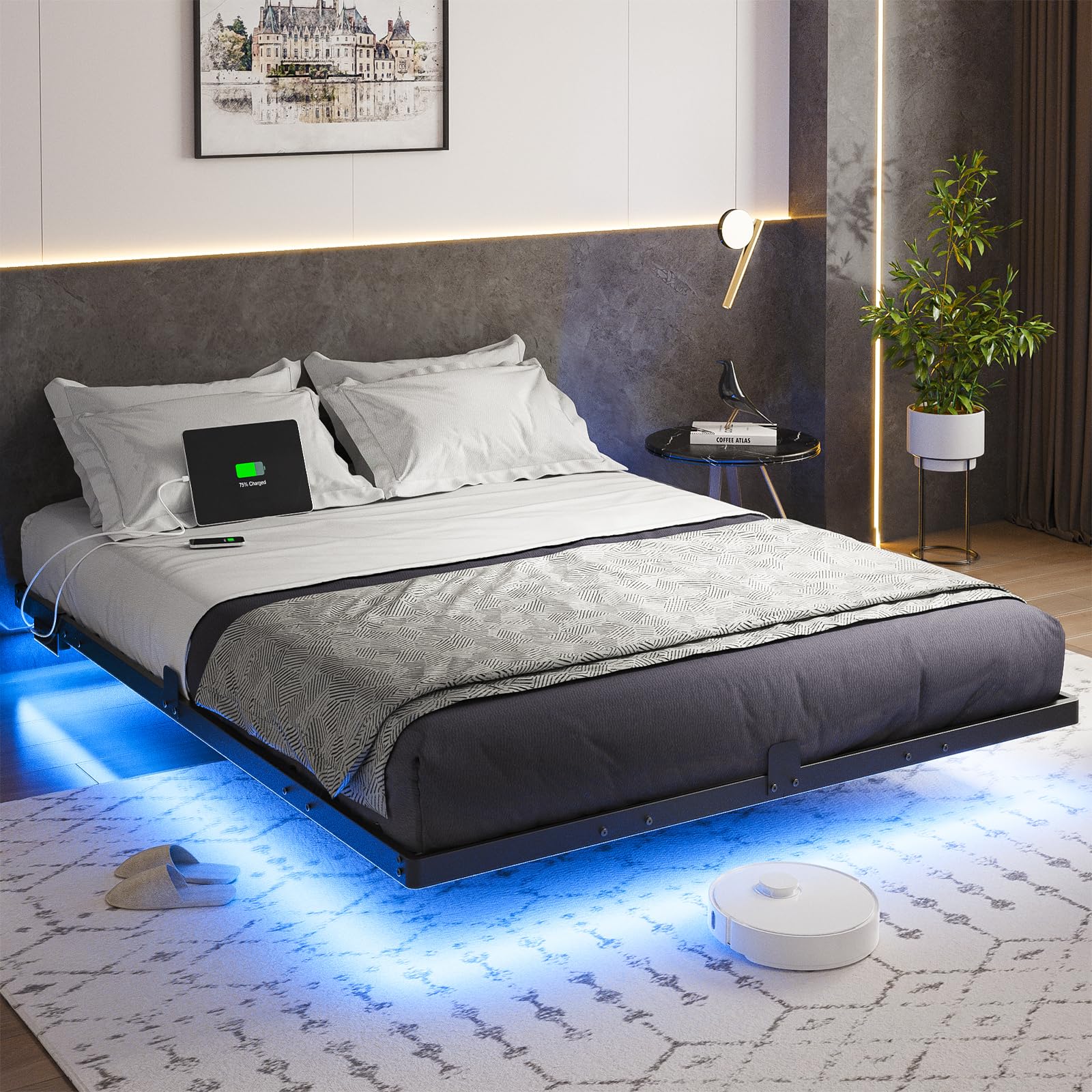 Queen Size Floating Bed Frame with LED Lights, USB Charging Station, Modern Metal Platform Bed Frame, Noise Free No Box Spring Needed and Easy Assembly