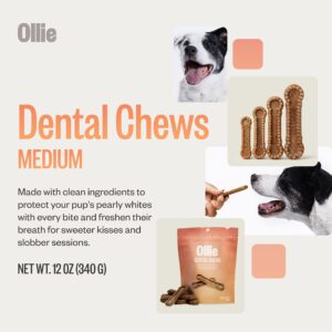 Ollie Belly Rubs Dog Probiotic Chews - Probiotics for Dogs and Ollie Dental Chews for Dogs Medium -Dog Breath Treats