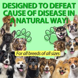 Natural Antibiotics for Dogs, Dog Antibiotics Supports Dog Allergy and Itch Relief, Dog Multivitamin, Pet Antibiotics, for All Breeds 4 Fl Oz