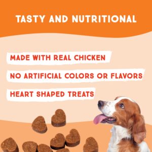 SuchGood Skin and Coat Dog Treats - 105 Count Advanced Omega Skin and Coat Support Chews for All Breed Sizes, Premium Salmon and Flaxseed Oil for Dogs - (Chicken Flavor, 3 Pack)