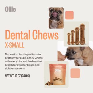 Ollie Belly Rubs Dog Probiotic Chews - Probiotics for Dogs and Ollie Dental Chews for Dogs XS- Dog Breath Treats