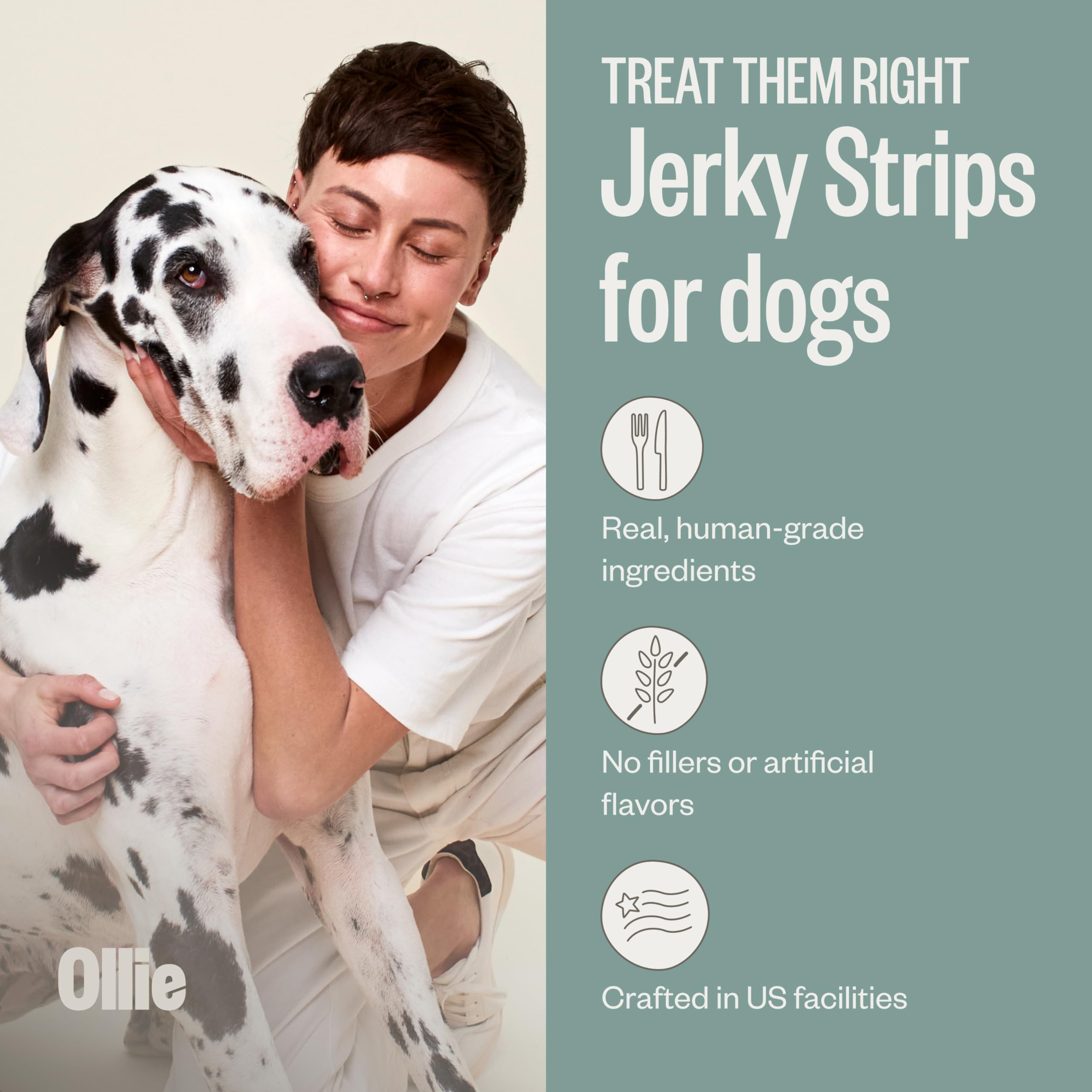 Ollie Belly Rubs Dog Probiotic Chews - Probiotics for Dogs and Ollie Chicken and Apple Recipe Jerky Dog Treats - Dog Jerky Treats All Natural