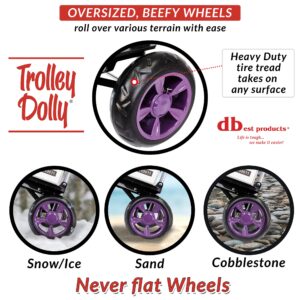 dbest products Trolley Dolly Purple Bungee Cord Bundle Foldable Shopping cart for Groceries with Wheels and Removable Bag and Rolling Personal Handtruck Standard, 1 Unit