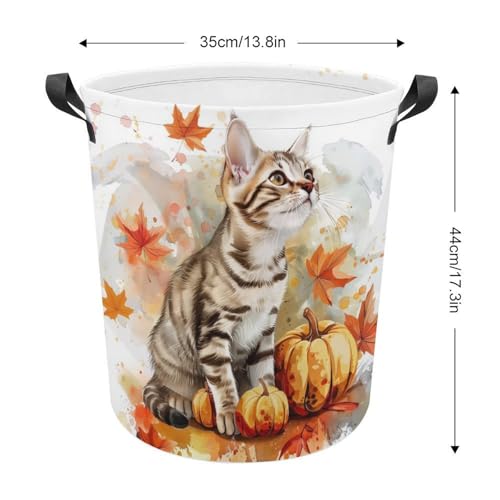 TsyTma Fall Cat Collapsible Laundry Baskets Laundry Hamper with Handles Cute Tabby Cat Pumpkins Round Dirty Clothes Hampers for Laundry Bathroom Bedroom Decor