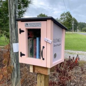 LITTLE FREE LIBRARY® Complete Bundle with Mini Library Kit, Mounting Post Kit Included, Made in America by The Nonprofit That Expands Book Access