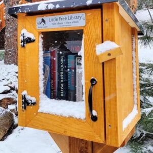 LITTLE FREE LIBRARY® Complete Bundle with Mini Library Kit, Mounting Post Kit Included, Made in America by The Nonprofit That Expands Book Access