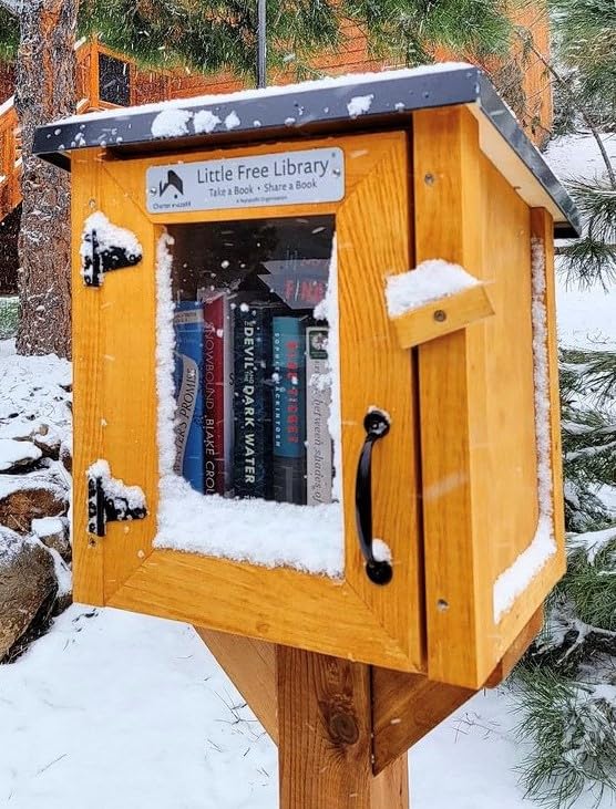 LITTLE FREE LIBRARY® Complete Bundle with Mini Library Kit, Mounting Post Kit Included, Made in America by The Nonprofit That Expands Book Access