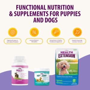 Health Extension Dog Health and Nutrition Bundle - Multivitamin (30 Tablets), Little Bites Dry Dog Food Chicken & Brown Rice Recipe (4 Lbs), Joint & Hip Supplement Cheese Flavored Powder (16oz)