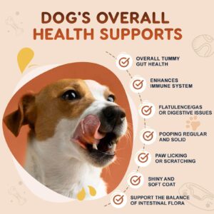 Probiotics for Dogs, Dog Probiotics for Digestive Health, Plus Pumpkin and Fish Oil, for Gut & Itchy, 102 Soft Chews