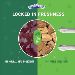 (Pack of 2) Nutri Bites Freeze Dried Beef Liver Treats for Dogs & Cats - High-Protein, Grain Free, Easy to Digest - Proudly Made in Canada - 500g / 17.6oz