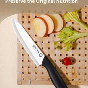 Ceramic Knife Set for Kitchen with Sheath: Sharp Blade Fruit Cutting Knives with Cover Clean Cut Edge Black Handle