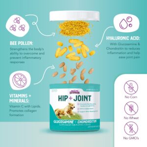 Health Extension Dog Health and Nutrition Bundle - Multivitamin (30 Tablets), Little Bites Dry Dog Food Chicken & Brown Rice Recipe (4 Lbs), Joint & Hip Supplement Cheese Flavored Powder (16oz)