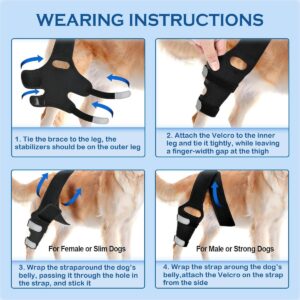 JOMMIE CHEN Dog Knee Brace for Torn ACL, Hind Leg Support Better Recovery with Dog Leg Adjustable Dog Acl Brace (Large)