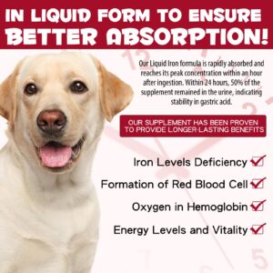 Iron Supplements for Dogs & 180 Chews Dog Probiotics and Digestive Enzymes