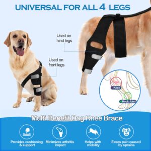 JOMMIE CHEN Dog Knee Brace for Torn ACL, Hind Leg Support Better Recovery with Dog Leg Adjustable Dog Acl Brace (Large)