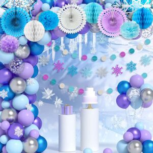 Winter Snowflake Decorations, Frozen Birthday Party Decorations Includes Snowflake Banner Paper Lanterns,Tissue Pom Poms Fan,Winter Wonderland Baby Shower Winter Birthday Party Decorations