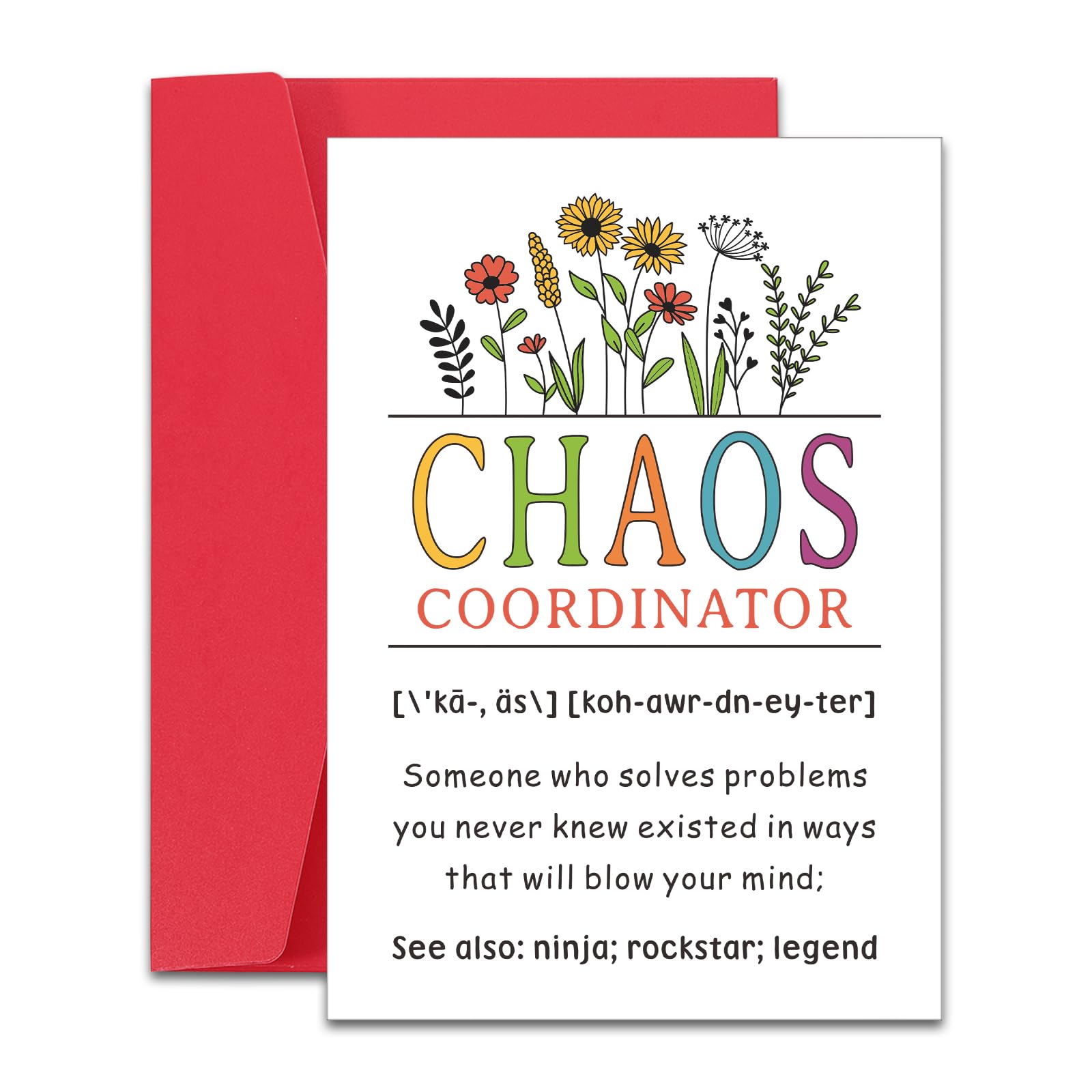 Raddimelo Boss Christmas Cards, Chaos Coordinator Gifts, Stocking Stuffers for Leader Coworkers, Boss Gifts for Women, Boss Day Gifts for Boss Boss Lady Leader, Birthday Gifts, Veterans Day Cards