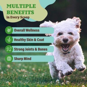 Natural Dog Company Dog Allergy Relief and Nutritional Support, Complete Wellness Bundle with Aller-Immune Chews, Wild Alaskan Salmon Oil, and Super Greens Granules for Skin, Coat, and Immune Health