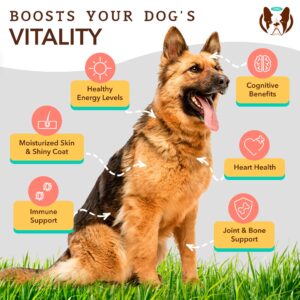 Natural Dog Company Skin & Coat Health Bundle with Omega-3, DHA, and Antioxidants for Dogs, Supports Healthy Skin, Shiny Coat, and Overall Wellness Ideal for Dry Skin Relief & Enhancing Dog Coat Shine