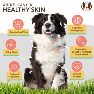 Natural Dog Company Skin & Coat Health Bundle with Omega-3, DHA, and Antioxidants for Dogs, Supports Healthy Skin, Shiny Coat, and Overall Wellness Ideal for Dry Skin Relief & Enhancing Dog Coat Shine